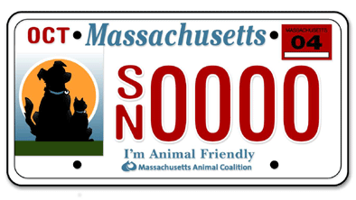 license plate