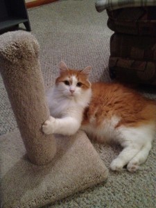 Charlie