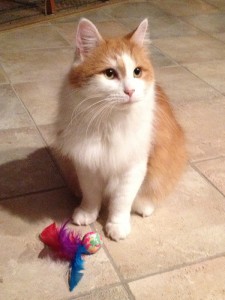 charlie-2