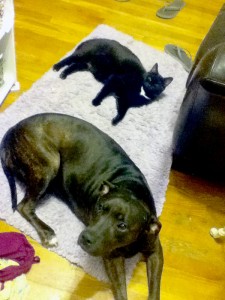 Keila and Honey