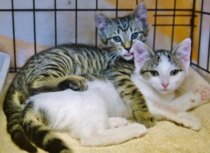 Nala & Neely