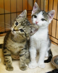Nala & Neely