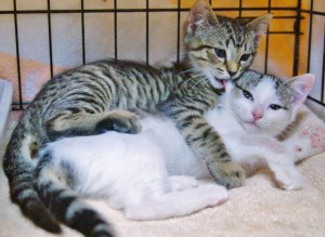 Nala & Neely
