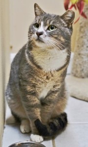 Salvatore (2) (480x800)