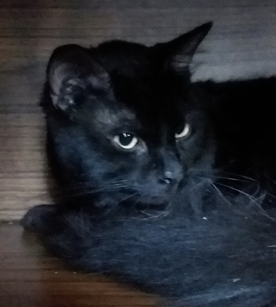 Rocky