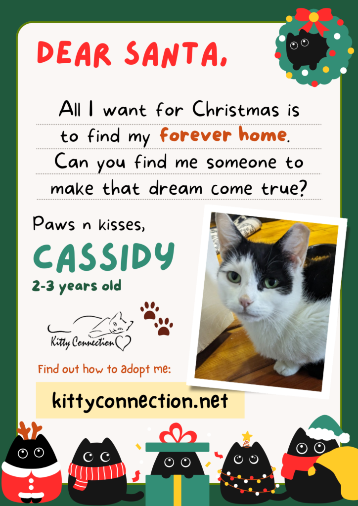 Adopt Me! on X: Merry Christmas to everyone celebrating!! We hope